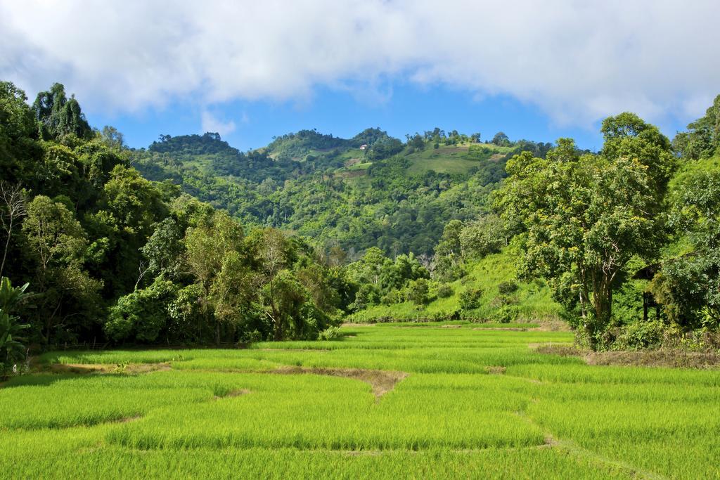 Hmong Hilltribe Lodge Mae Rim Ngoại thất bức ảnh