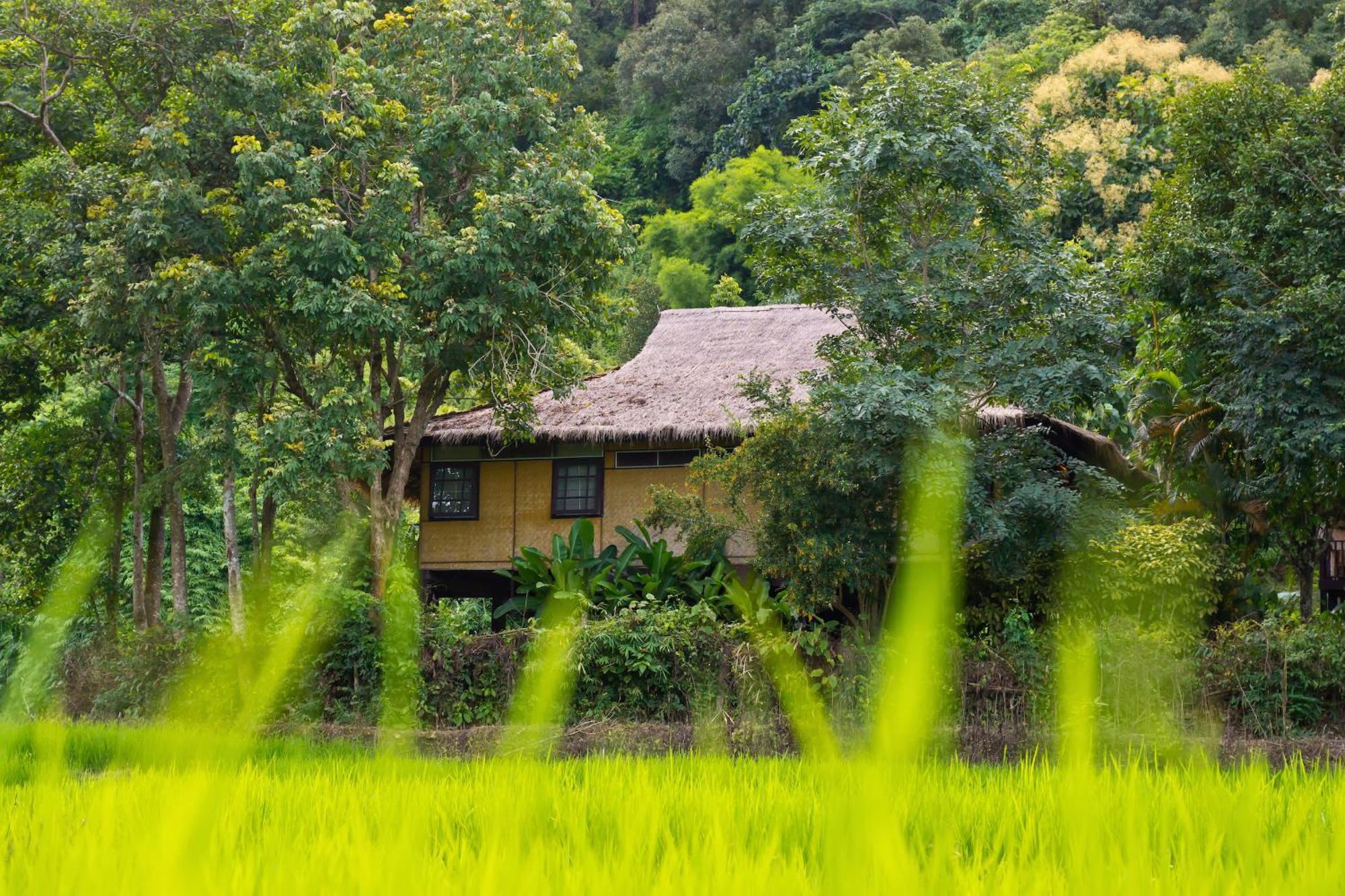 Hmong Hilltribe Lodge Mae Rim Ngoại thất bức ảnh